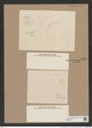 Hyalodiscus ? nerguolensis Grun. (de-Toni-Nr.: Genus 219) Zeichnungen Sammlung Grunow Nr. 9452 (NHMW-BOT-W0379313)